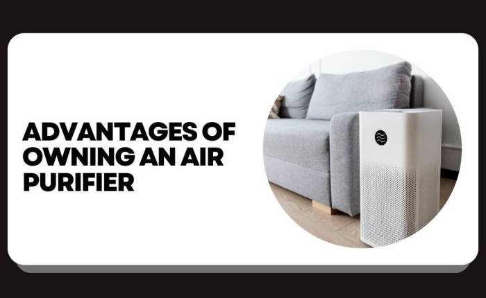 Advantages of Owning an Air Purifier